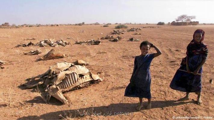 میلیونها کودک قربانی نتایج خشکسالی شدید در شرق آفریقا