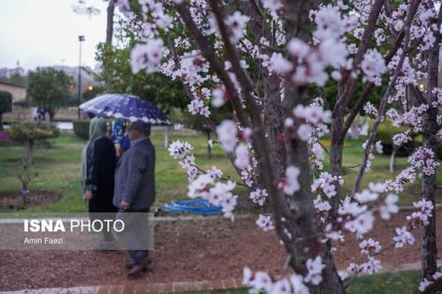 آخر هفته بارانی تهران، کاهش دما از جمعه