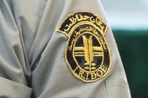 محیط بانان نمونه استانی