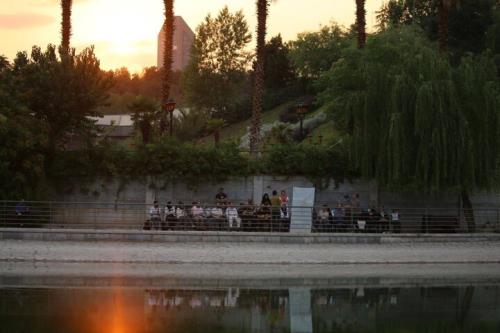 رقص بادخورک ها بر فراز دریاچه هنر تهران