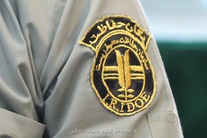محیط بانان نمونه استانی