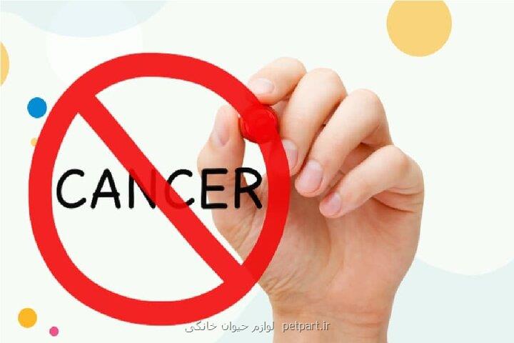 یک داروی جدید برای کاهش سرعت پیشرفت سرطان سینه