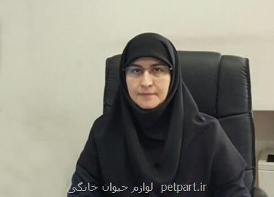 دعوت ملی برای تحول در آموزش ابتدایی از اجرای طرح خوانا تا اجتماعات یادگیری معلمان