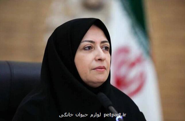 اجرای ضوابط محیط زیست در استانها باید با جدیت دنبال شود