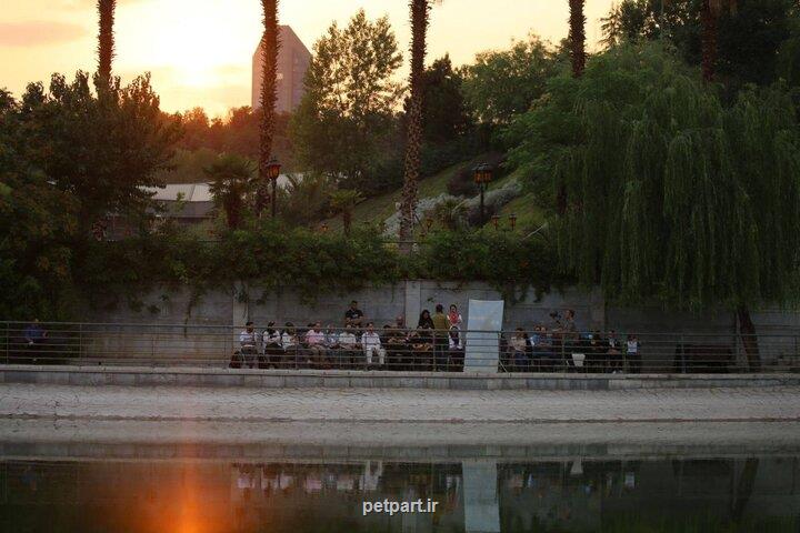 رقص بادخورک ها بر فراز دریاچه هنر تهران