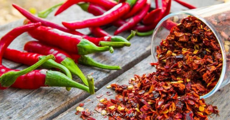 آیا مصرف بی رویه غذاهای تند به سلامت دستگاه گوارش کمک می کند؟