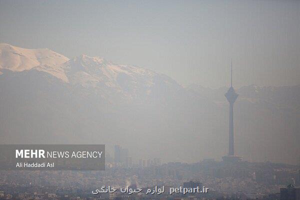 شاخص کیفیت هوای تهران طی ۲۴ ساعت گذشته به عدد ۳۱۸ رسید