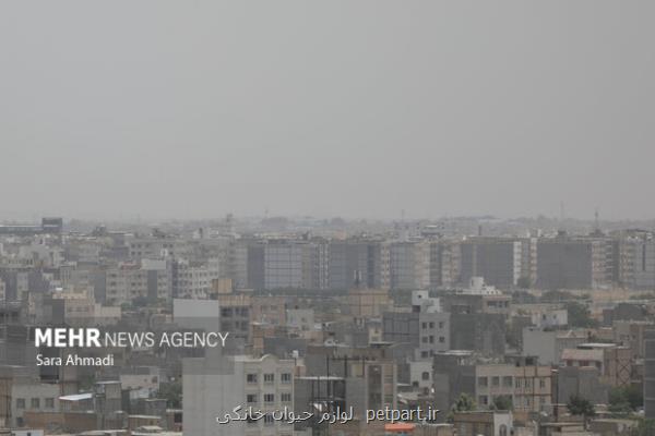 لزوم اصلاح قوانین و برخورد محکم با مسببان آلودگی هوا