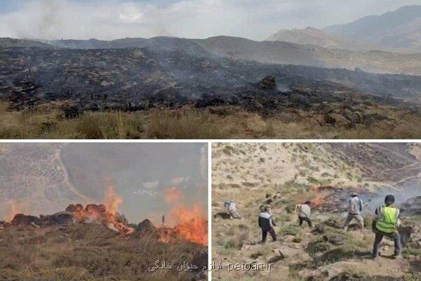 آتشسوزی در مراتع دشت لار با حضور بموقع محیط بانان مهار گشت