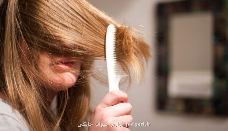 حفظ زیبایی و سلامت مو با ۴ عادت ساده