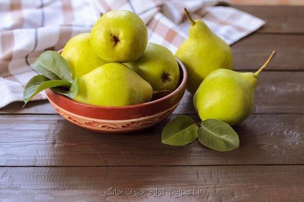 این میوه برای کاهش وزن و پیش گیری از سرطان معجزه می کند
