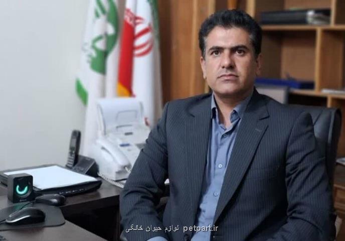 اعزام 5 تیم اطفای حریق به سفیدکوه  پیش بینی مهار حریق تا نیمه شب