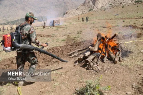بسیج مردمی برای مهار آتش جنگلها آموزش جوامع محلی برای اطفای حریق