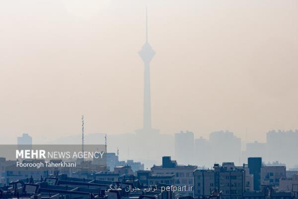 در جلسه کارگروه آلودگی هوا چه گذشت؟