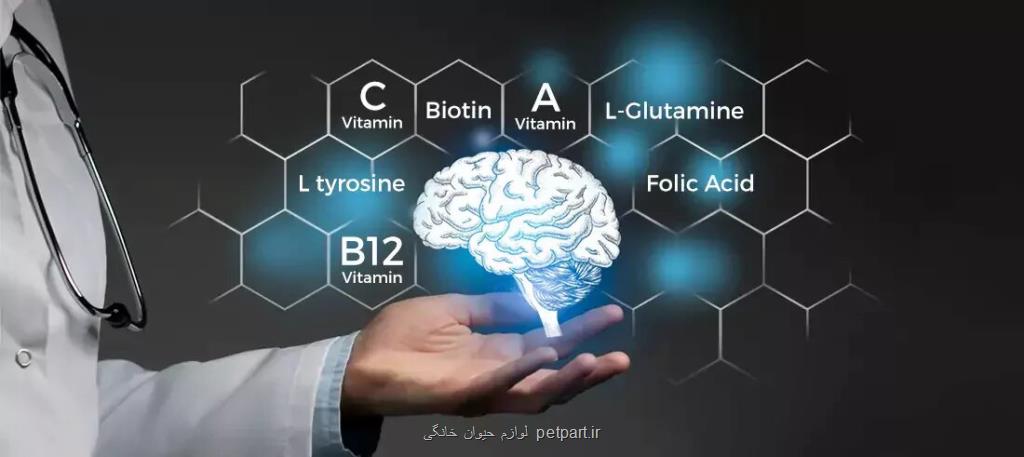 با ویتامین ها مغز خودرا شارژ کنید