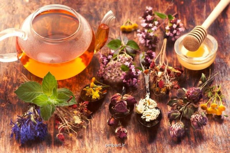 با دمنوش میتوان لاغر شد؟