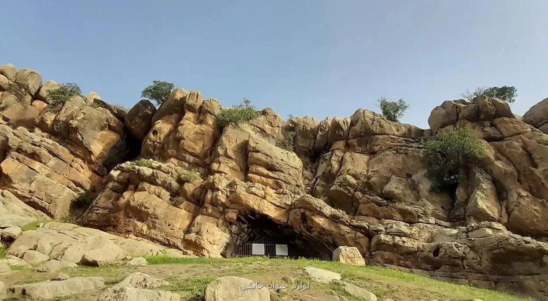 صدور سند تک برگ برای یک غار در لرستان صدور سند تک برگ برای یک غار در لرستان