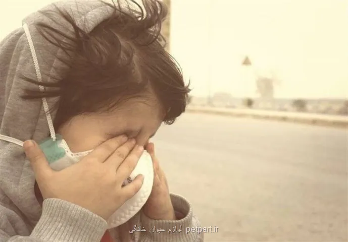 رکوردشکنی بیماران آلودگی هوا در یک استان