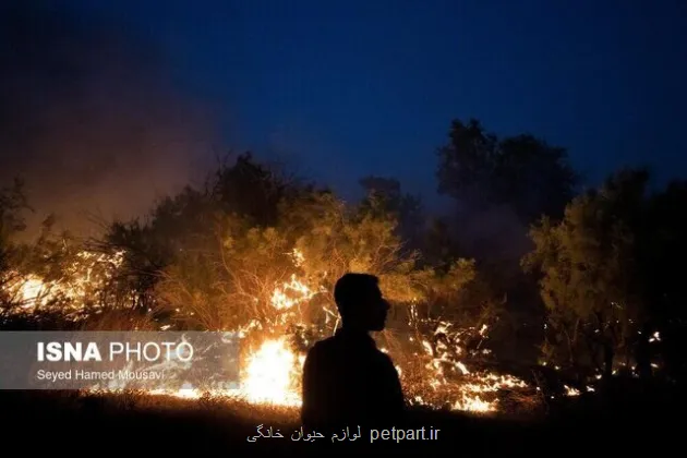 آتشسوزی گسترده در جنگل های جاده چالوس