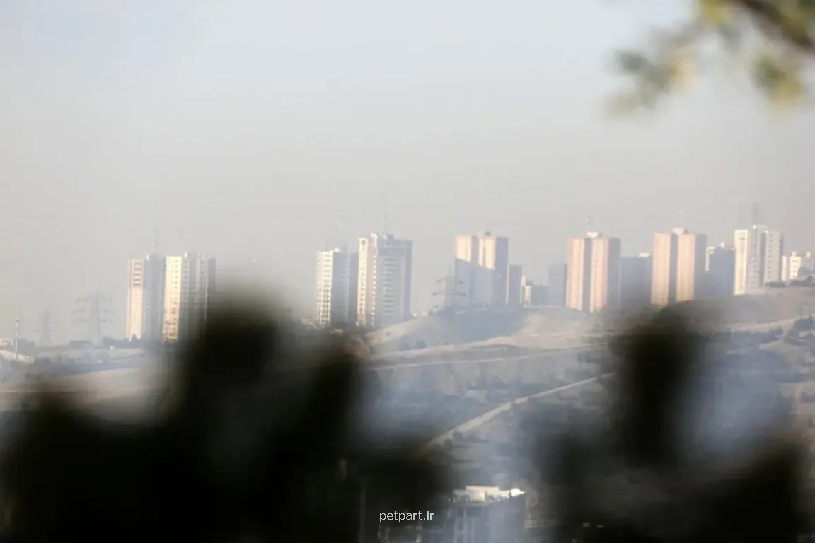 مردم می توانند برای آلودگی هوا از دولت مطالبه خسارت کنند و دولت باید این خسارت را بپردازد