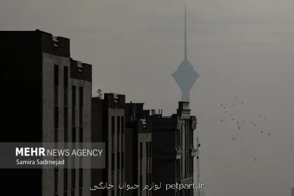 مدارس ابتدایی استان تهران مجازی شد