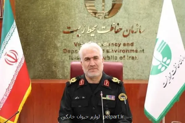 کشف ۴۵۲۶ قبضه سلاح توسط محیط بانان