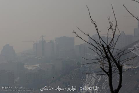 هوای تهران ناسالم شد