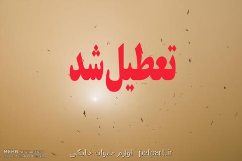 مدارس نوبت عصر خرمشهر تعطیل شد
