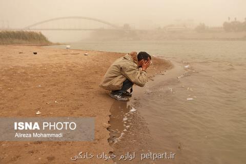 گرد و غبار خوزستان عموما منشاء داخلی دارد
