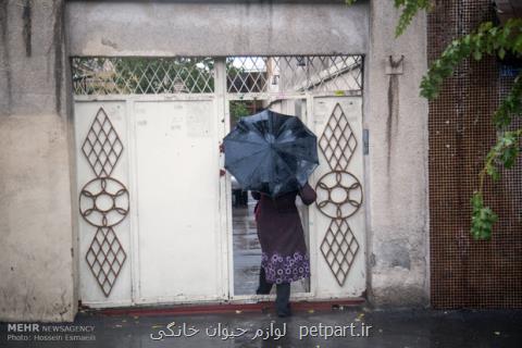 ورود سامانه بارشی تازه به كشور، تهران فردا بارانی می گردد