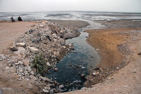 نشست تخصصی حفاظت از محیط زیست مناطق ساحلی برگزار گردید