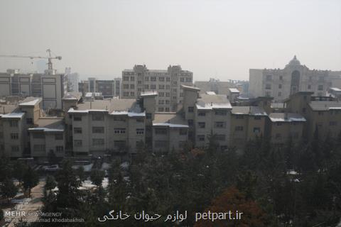 هوای تهران سالم می باشد