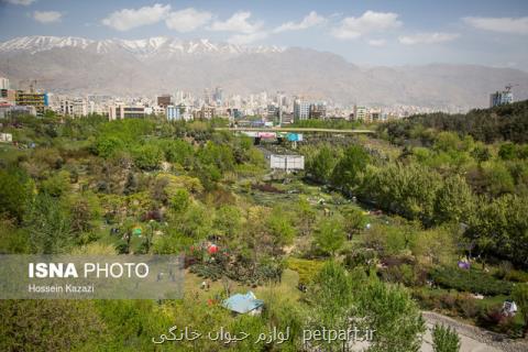 بخشنامه جدید شهرداری برای ممنوعیت كاشت چمن در تهران