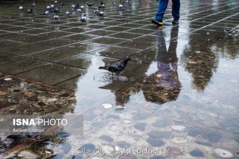 كمبود ۲۷ درصدی بارش ایران، سیستان وبلوچستان در صدر استان های كم بارش
