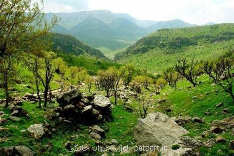 دو طرح موازی برای نابودی زاگرس، صدور مجوز برای كوه خواری در كشور