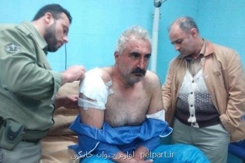 حمله یك قلاده پلنگ به چوپان شفتی در جنگل های سیاهمزگی