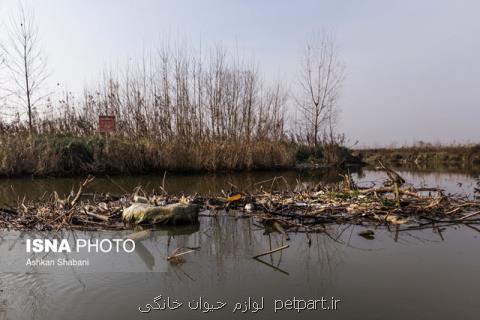 زخم زباله و فاضلاب بر تن تالاب انزلی