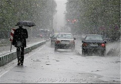وضعیت بارش های نوروزی، ۱۳ فروردین بارانی است