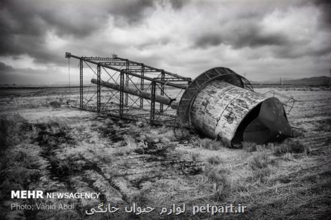 ایران در مرز تنش آبی، رفع مشكل آب با اراده جمعی امكان دارد