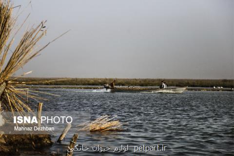 آبگیری كامل سه تالاب استان خوزستان