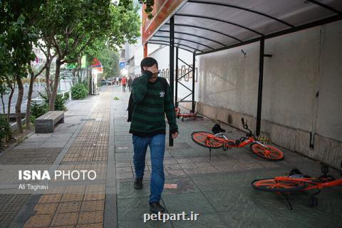 وزش باد نسبتا شدید در تهران طی فردا