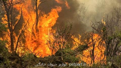 مراتع بهبهان در آتش، بالگرد بامداد به منطقه اعزام می شود