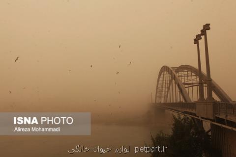 وزش باد شدید و خیزش گرد و خاك در چهار استان كشور