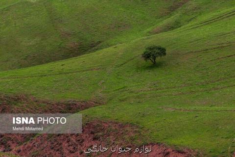 بارش و دمای ایران در بهاری كه گذشت