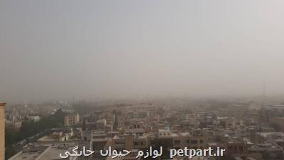 افزایش موقتی آلاینده های هوای تهران