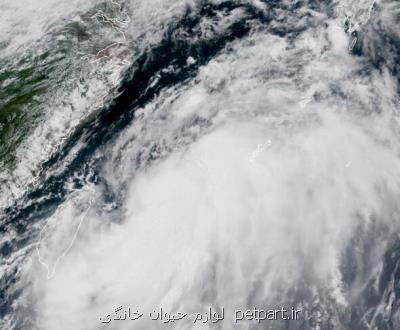 پیش بینی تشدید طوفان لورنزو در شرق اقیانوس اطلس