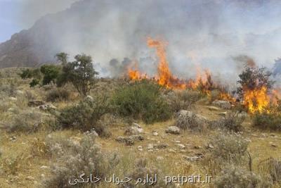 45 هكتار مراتع و جنگل های استان سمنان در آتش سوخت