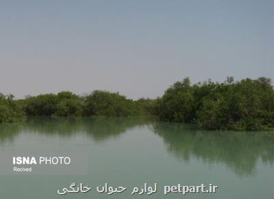 همكاری طرح حفاظت از تالاب های ایران برای ثبت جهانی شهر بندر خمیر