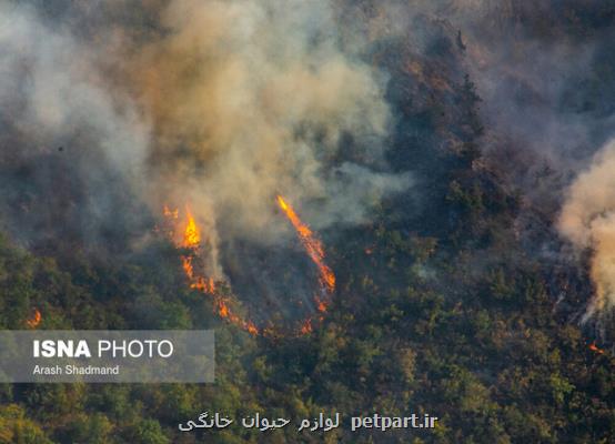آتش سوزی تابستانی جنگل ها به كدام استان ها بیشترین خسارت را وارد كرد؟
