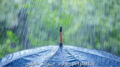 بارش باران در مرز ایران و عراق